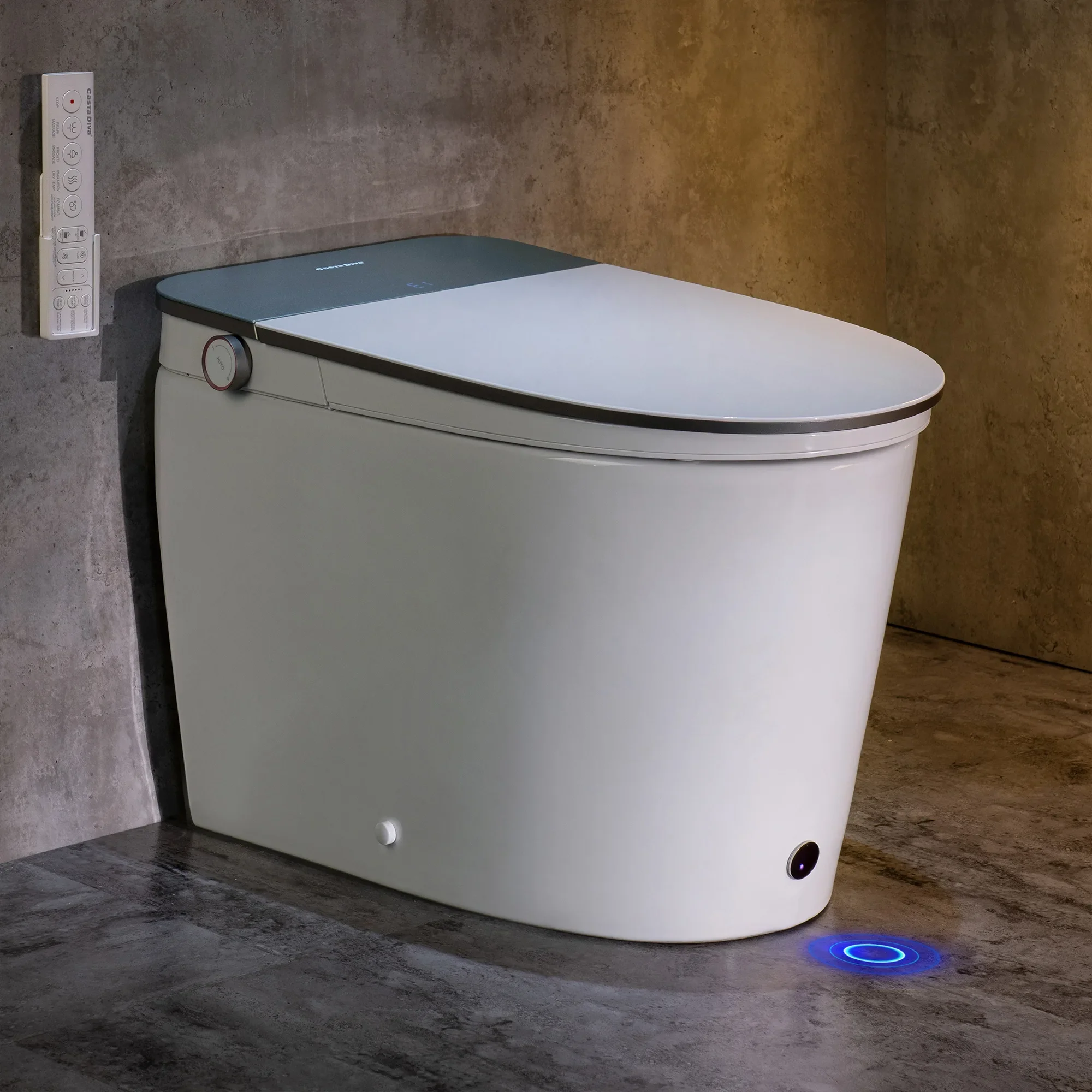 Smart Toilets